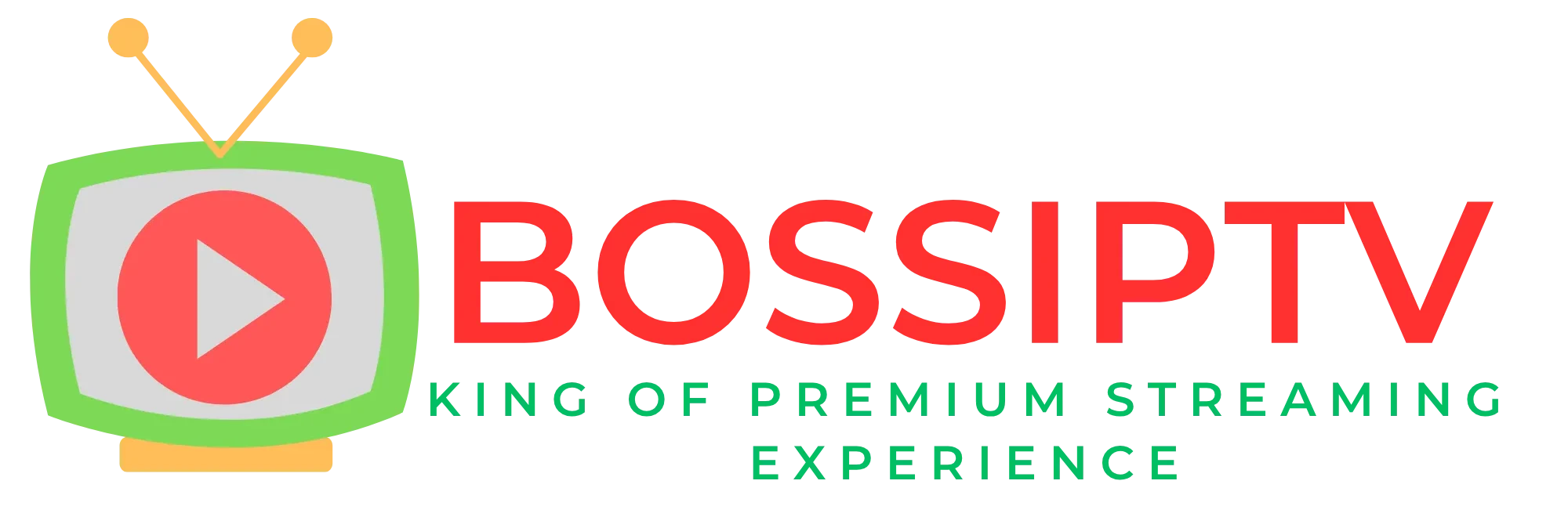 BOSS IPTV Advanced streaming solution Logo Header image